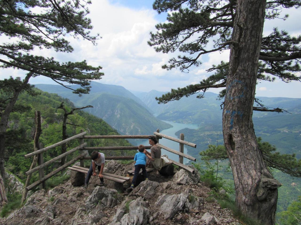Planinski Mir Zaovine ภายนอก รูปภาพ