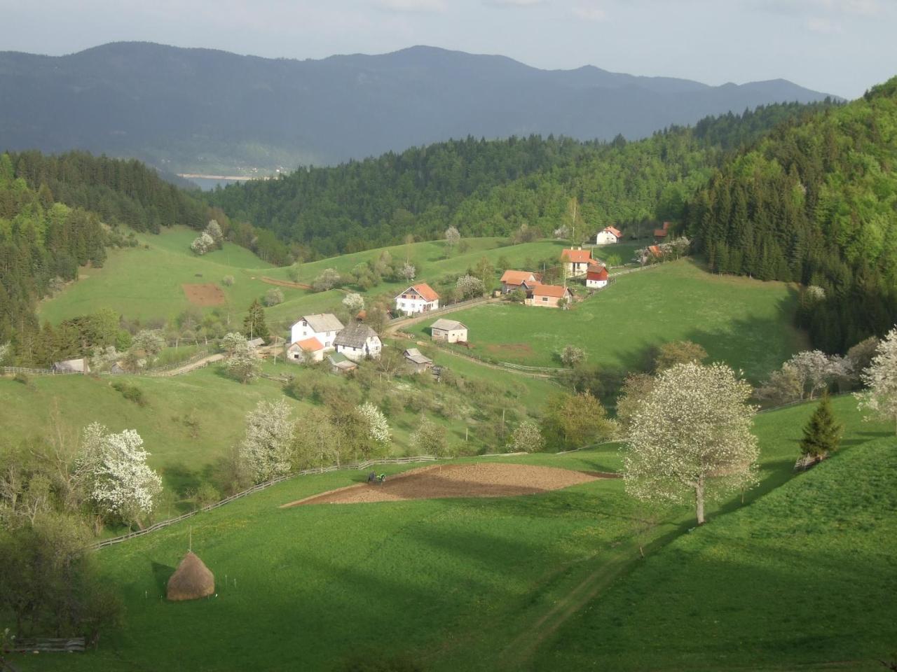 Planinski Mir Zaovine ภายนอก รูปภาพ