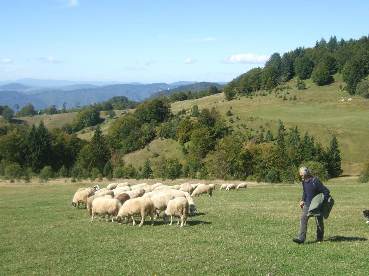Planinski Mir Zaovine ภายนอก รูปภาพ