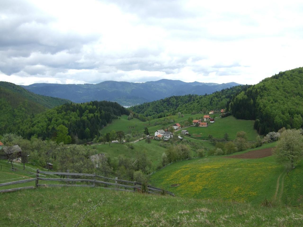 Planinski Mir Zaovine ภายนอก รูปภาพ