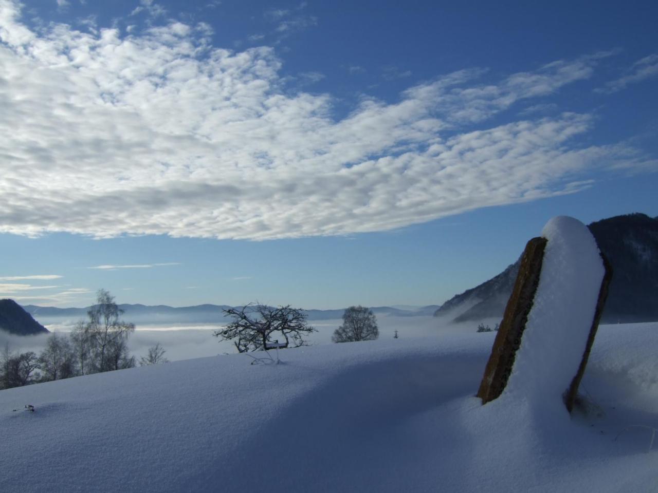 Planinski Mir Zaovine ภายนอก รูปภาพ